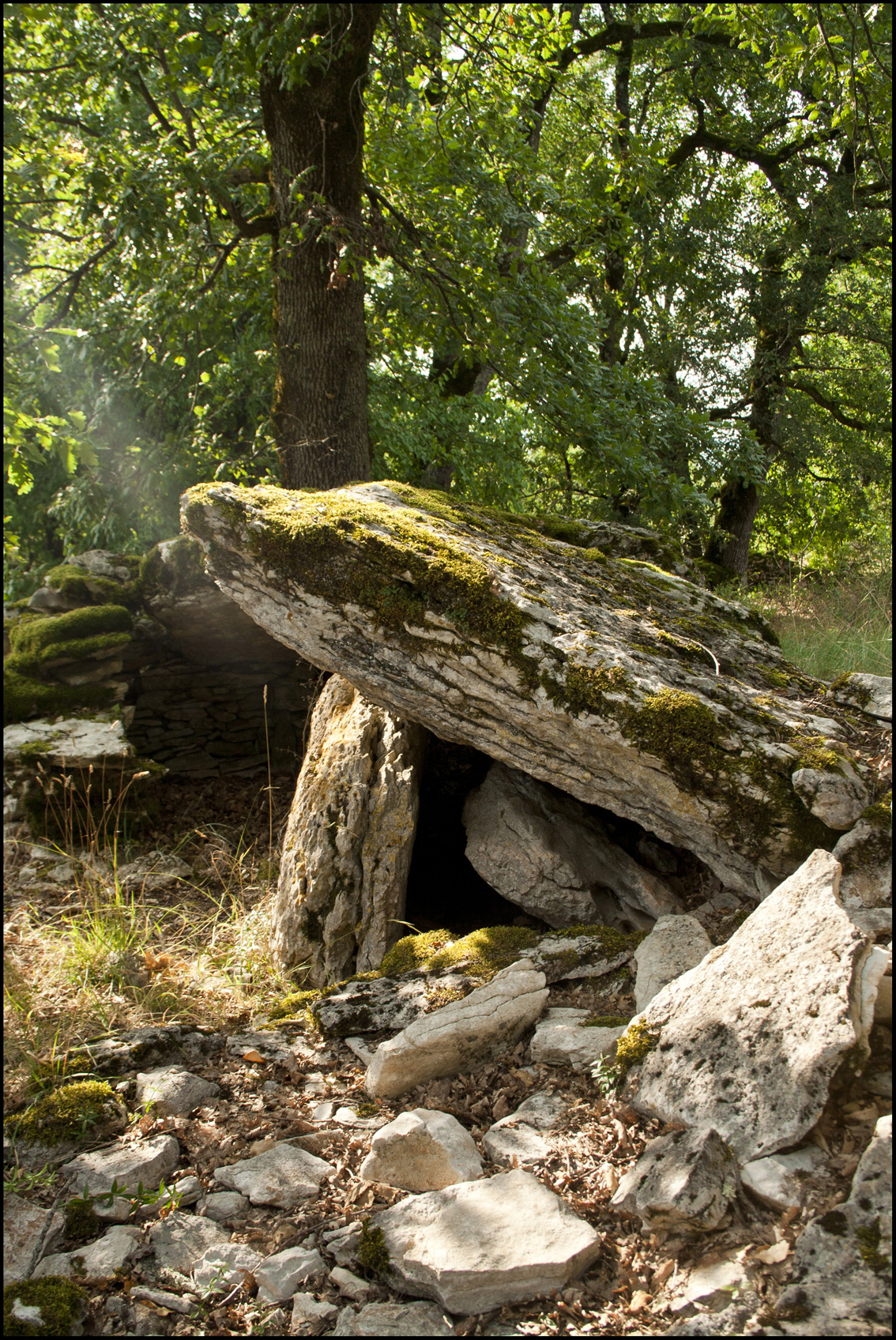 6 Dolmens de Saint-Chels